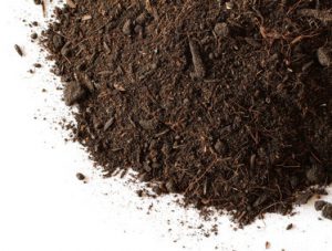 Peat soil isolated on white background