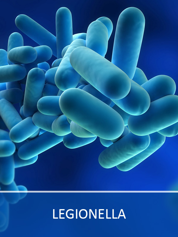 cl_legionella
